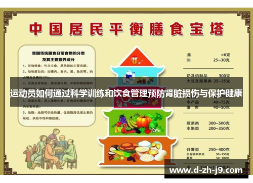 运动员如何通过科学训练和饮食管理预防肾脏损伤与保护健康 运动员如何通过科学训练和饮食管理预防肾脏损伤与保护健康