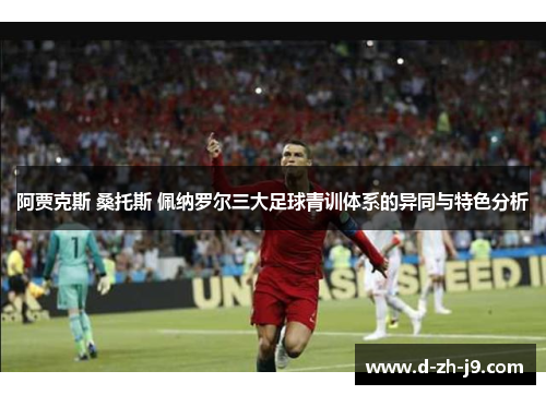 阿贾克斯 桑托斯 佩纳罗尔三大足球青训体系的异同与特色分析