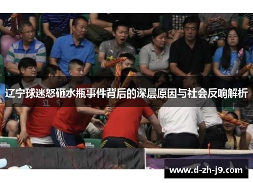 辽宁球迷怒砸水瓶事件背后的深层原因与社会反响解析