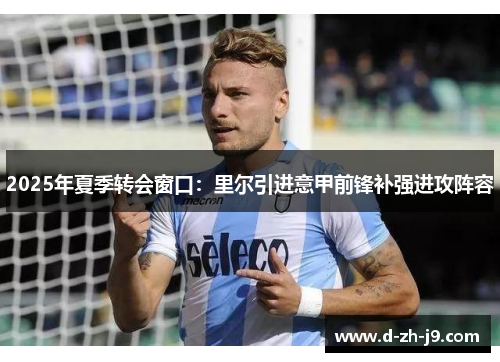 2025年夏季转会窗口：里尔引进意甲前锋补强进攻阵容